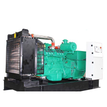 Googol Motor Heißer Verkauf Gas Generator 160kw 200kVA